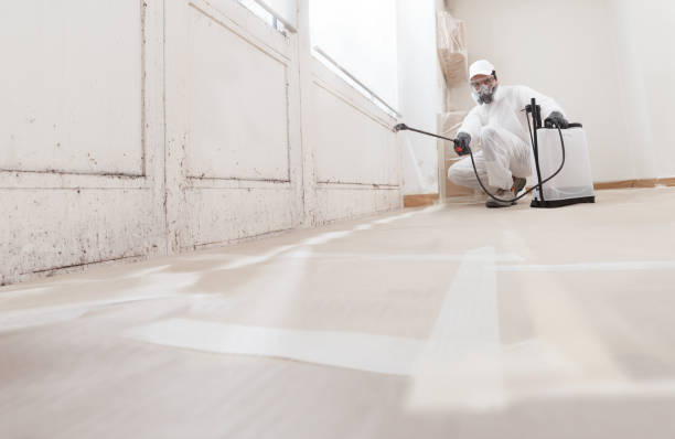 24/7 Emergency Basement Mold Remediation experts in Lemoyne, PA